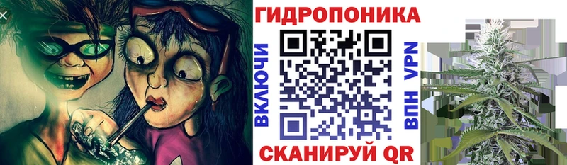 APVP Приморск